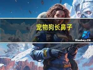 宠物狗长鼻子