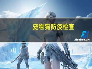 宠物狗防疫检查