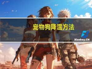 宠物狗降温方法