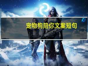 宠物狗陪你文案短句