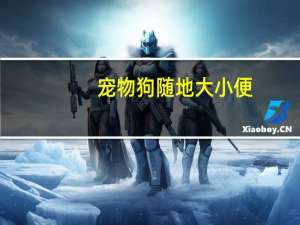 宠物狗随地大小便