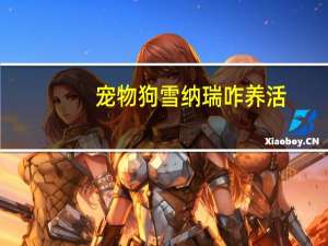 宠物狗雪纳瑞咋养活