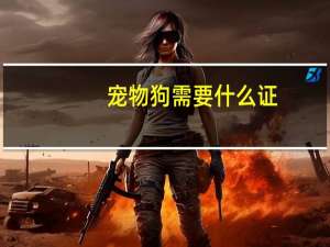 宠物狗需要什么证