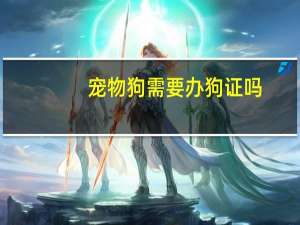 宠物狗需要办狗证吗