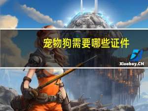 宠物狗需要哪些证件