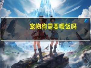 宠物狗需要喂饭吗