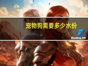 宠物狗需要多少水份