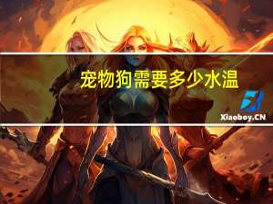 宠物狗需要多少水温