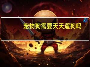 宠物狗需要天天遛狗吗