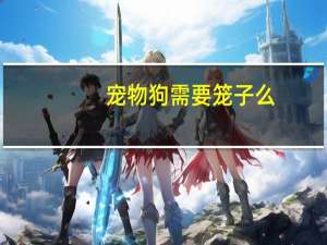 宠物狗需要笼子么