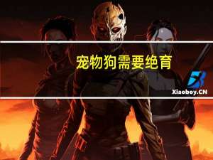 宠物狗需要绝育