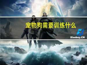 宠物狗需要训练什么