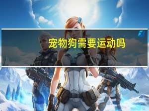 宠物狗需要运动吗