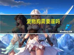 宠物狗需要遛吗