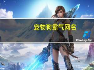 宠物狗霸气网名