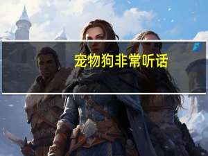 宠物狗非常听话