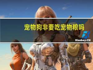 宠物狗非要吃宠物粮吗