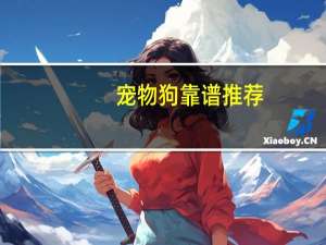 宠物狗靠谱推荐