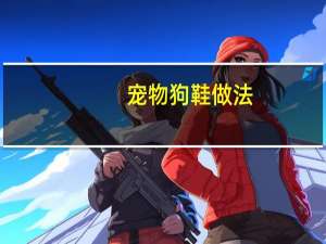 宠物狗鞋做法