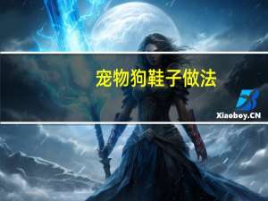 宠物狗鞋子做法
