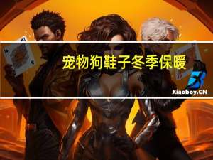 宠物狗鞋子冬季保暖