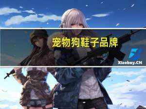 宠物狗鞋子品牌