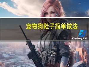 宠物狗鞋子简单做法