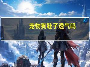 宠物狗鞋子透气吗