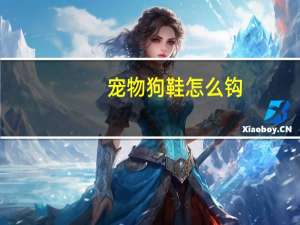 宠物狗鞋怎么钩