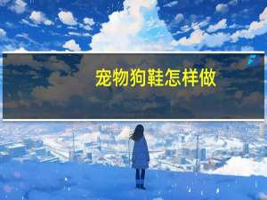 宠物狗鞋怎样做