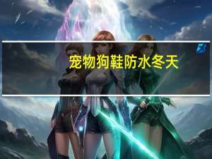 宠物狗鞋防水冬天