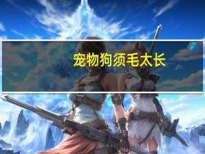 宠物狗须毛太长