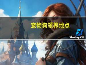 宠物狗领养地点