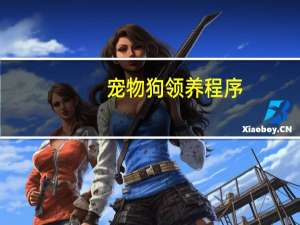 宠物狗领养程序