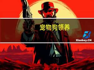 宠物狗领养