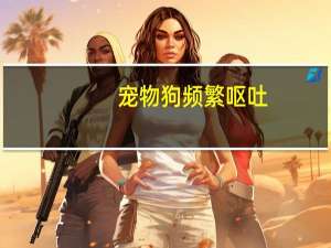 宠物狗频繁呕吐