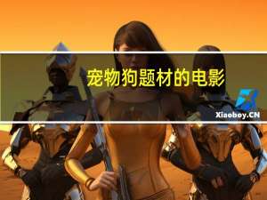 宠物狗题材的电影