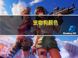 宠物狗颜色