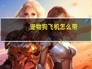 宠物狗飞机怎么带