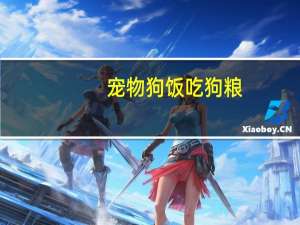 宠物狗饭吃狗粮