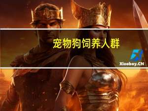 宠物狗饲养人群