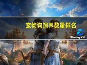 宠物狗饲养数量排名