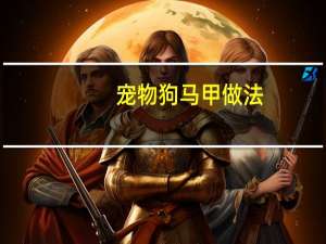 宠物狗马甲做法