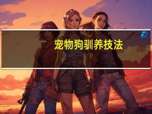 宠物狗驯养技法