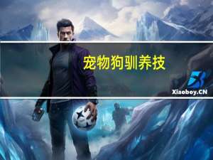 宠物狗驯养技
