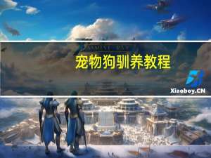 宠物狗驯养教程