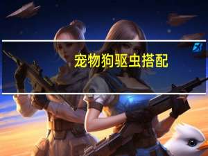 宠物狗驱虫搭配
