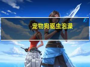 宠物狗驱虫泡澡