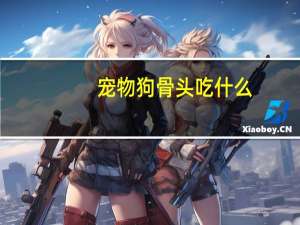 宠物狗骨头吃什么