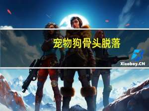 宠物狗骨头脱落